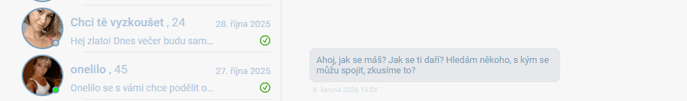 Recenze Only-flirts.com: Naleštěná bída s falešnými profily a průvanem v peněžence Toto jsou zprávy, které dostáváme během několika vteřin, bez fotografie ani popisu.